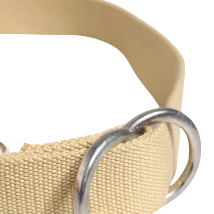 GF Ferre Men Beige Canvas Silver Metal Buckle Cintura Belt