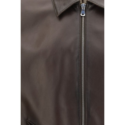 D'amico Brown Lamb Ovis Aries Aries Bomber