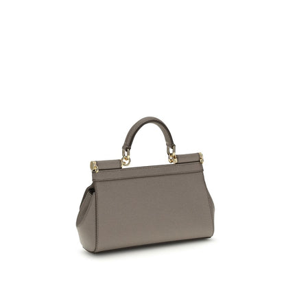 Dolce & Gabbana Gray Calf Leather Bos Taurus Handbag