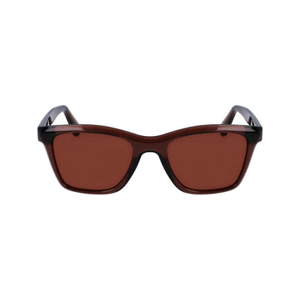 Ferragamo Brown Injected Sunglasses
