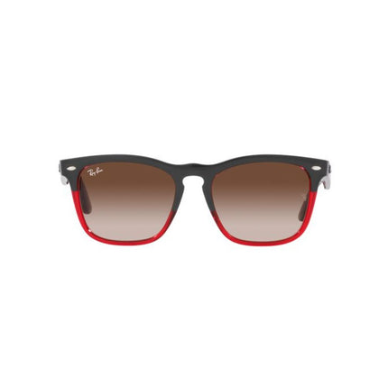 Ray-Ban Multicolor Nylon Sunglasses