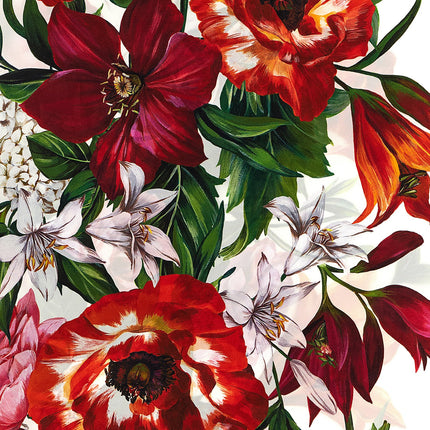 Dolce & Gabbana Multicolor Silk Foulard