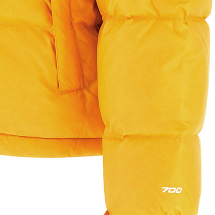 The North Face Bicolor Nylon Full-Length Jacket