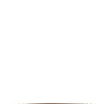 PINKO Brown Lamb Leather Regular Belt