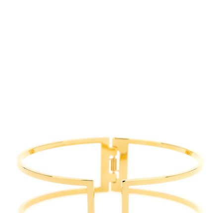 Elisabetta Franchi Gold Brass Necklace