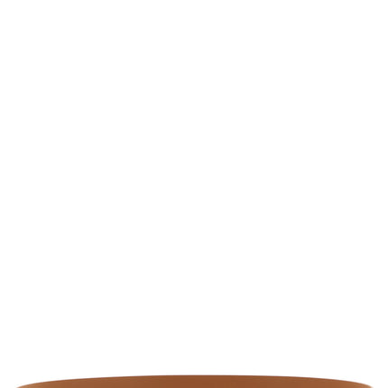 Ferragamo Brown Calfskin Regular Belt