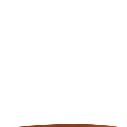 Ferragamo Brown Calfskin Regular Belt