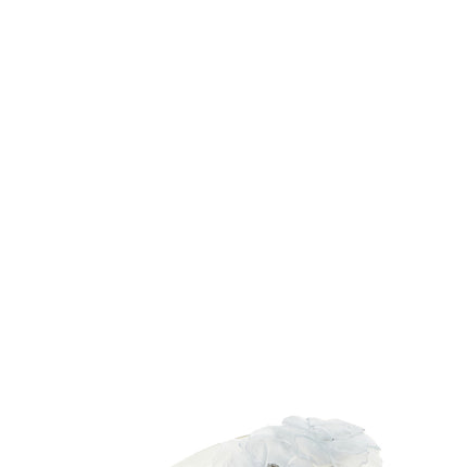 Coperni Transparent Pvc Slides