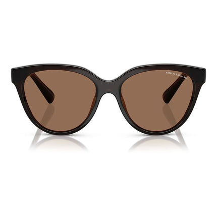 Armani Exchange Brown Injected Sunglasses