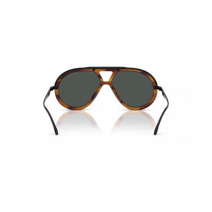 Emporio Armani Brown Acetate Sunglasses