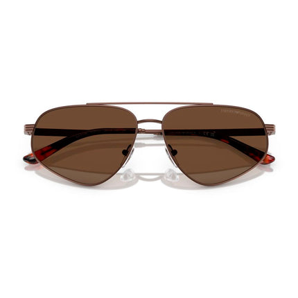 Emporio Armani Brown Metal Sunglasses
