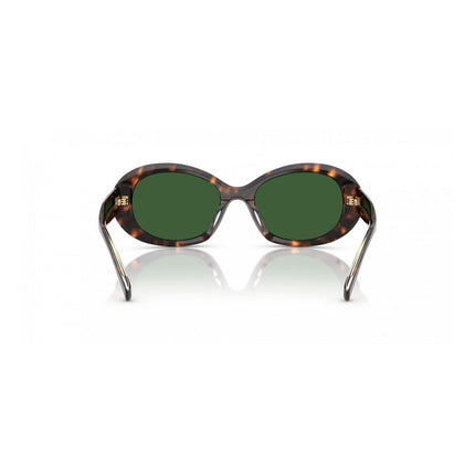 Tory Burch Brown Acetate Sunglasses