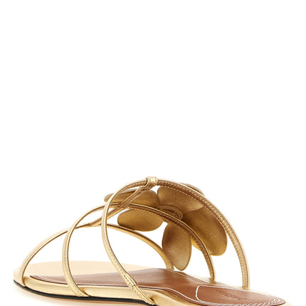 Zimmermann Gold Leather Slides