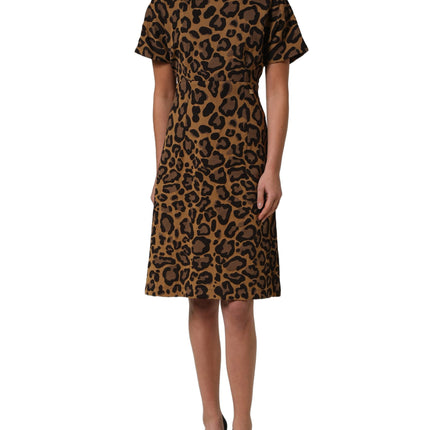 Dolce & Gabbana Brown LeopardPrint Flared A-line Mini Dress