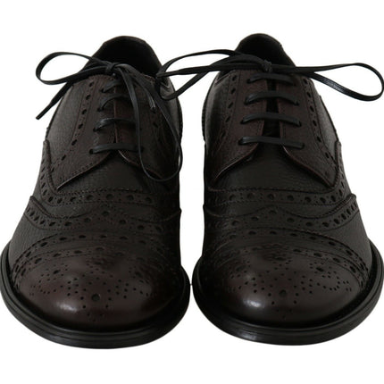 Dolce & Gabbana Brown Leather Wingtip Derby Formal Shoes