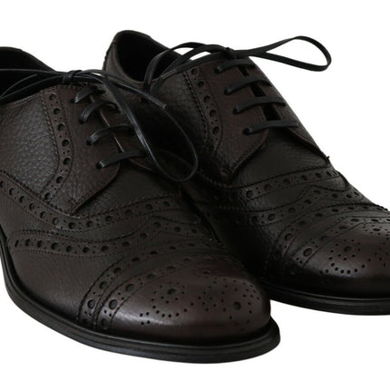 Dolce & Gabbana Brown Leather Wingtip Derby Formal Shoes