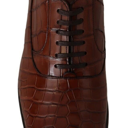 Dolce & Gabbana Brown Crocodile Leather Mens Formal Derby Shoes