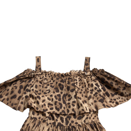 Dolce & Gabbana Brown Leopard Print Sleeveless A-line Dress