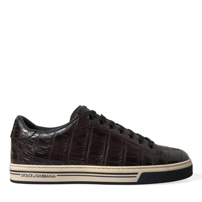 Dolce & Gabbana Brown Croc Exotic Leather Men Casual Sneakers Shoes