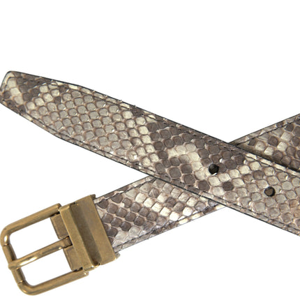Dolce & Gabbana Brown Python Leather Gold Metal Buckle Belt