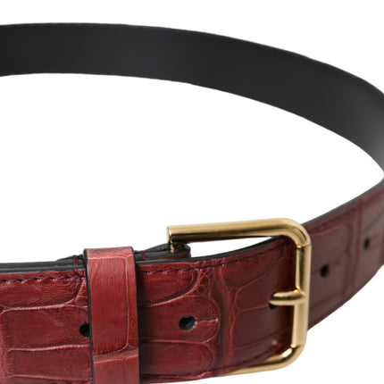 Dolce & Gabbana Brown Alligator Leather Studded Metal Buckle Belt