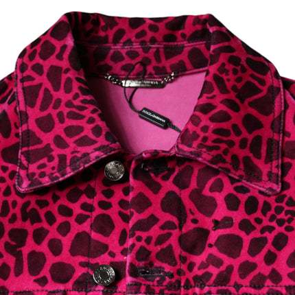 Dolce & Gabbana Fuchsia Leopard Button Down Collared Jacket