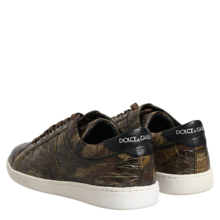 Dolce & Gabbana Brown Exotic Leather Low Top Sneakers Shoes