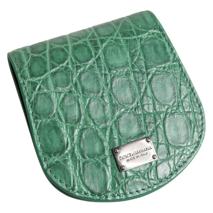 Dolce & Gabbana Green Exotic Skin Coin Condom Case Holder Pocket Wallet