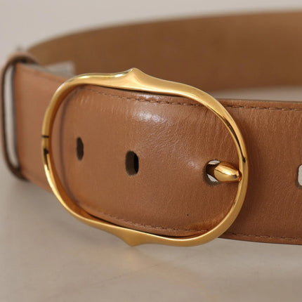 Dolce & Gabbana Brown Leather Gold Metal Oval Buckle Belt