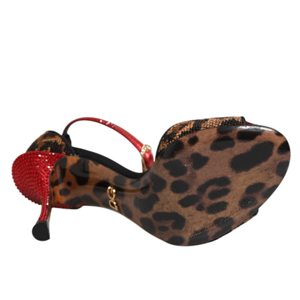 Dolce & Gabbana Brown Leopard Crystal Roses Sandals Shoes